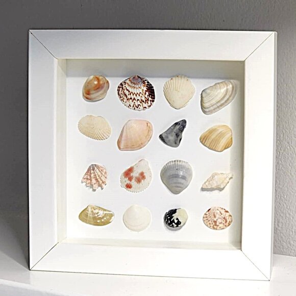 Framed seashell art - Picture 3 of 8